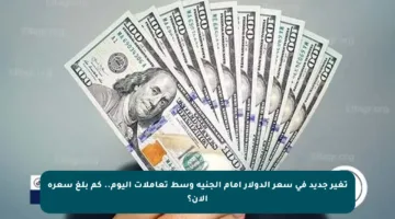 تغير جديد في سعر الدولار أمام الجنيه وسط تعاملات اليوم.. كم بلغ سعره الآن؟